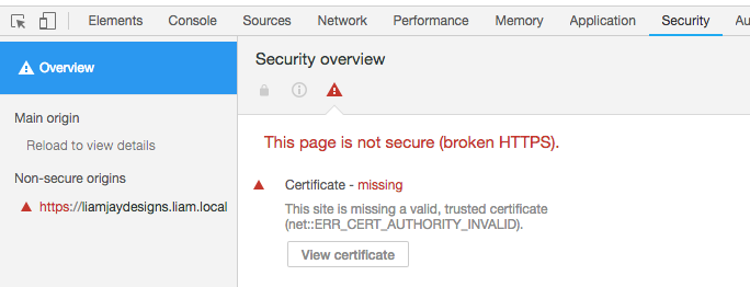 SSL on MAMP using Chrome dev tools screen